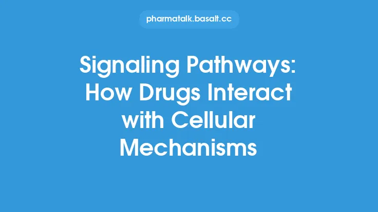 Signaling Pathways: How Drugs Interact with Cellular Mechanisms Thumbnail